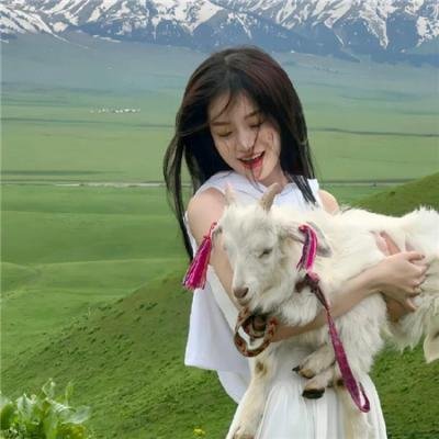 白云山传奇